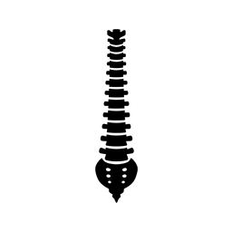 Fisioflexpro